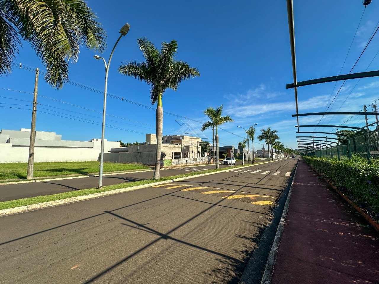 Imagem da propriedade 1491 19