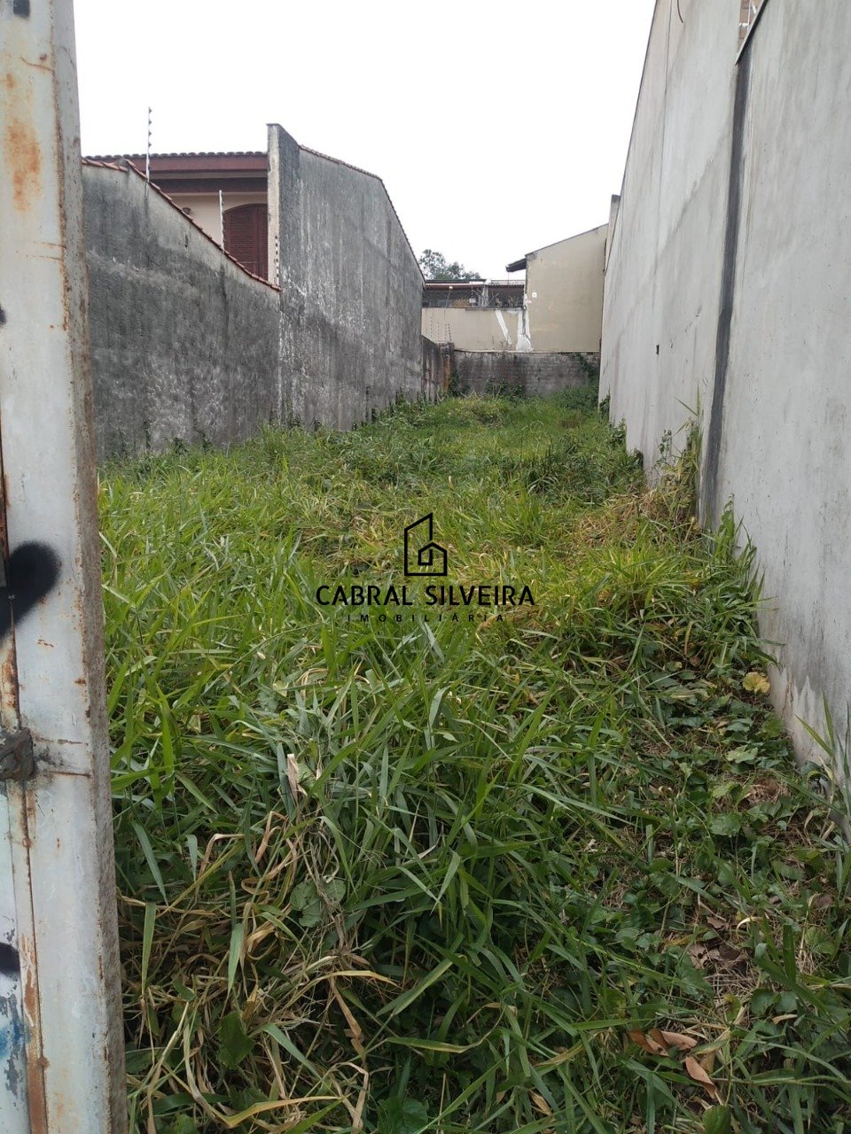 Imagem da propriedade 3