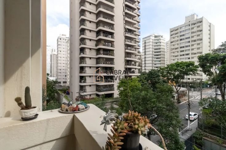 Imagem da propriedade 12
