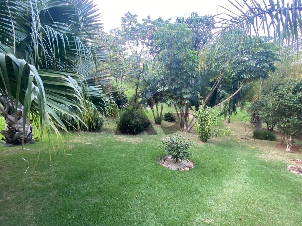 Imagem da propriedade 19
