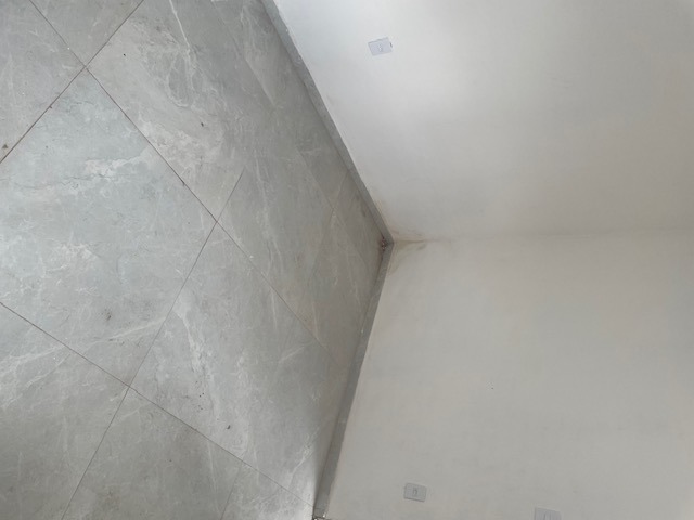 Imagem da propriedade 3