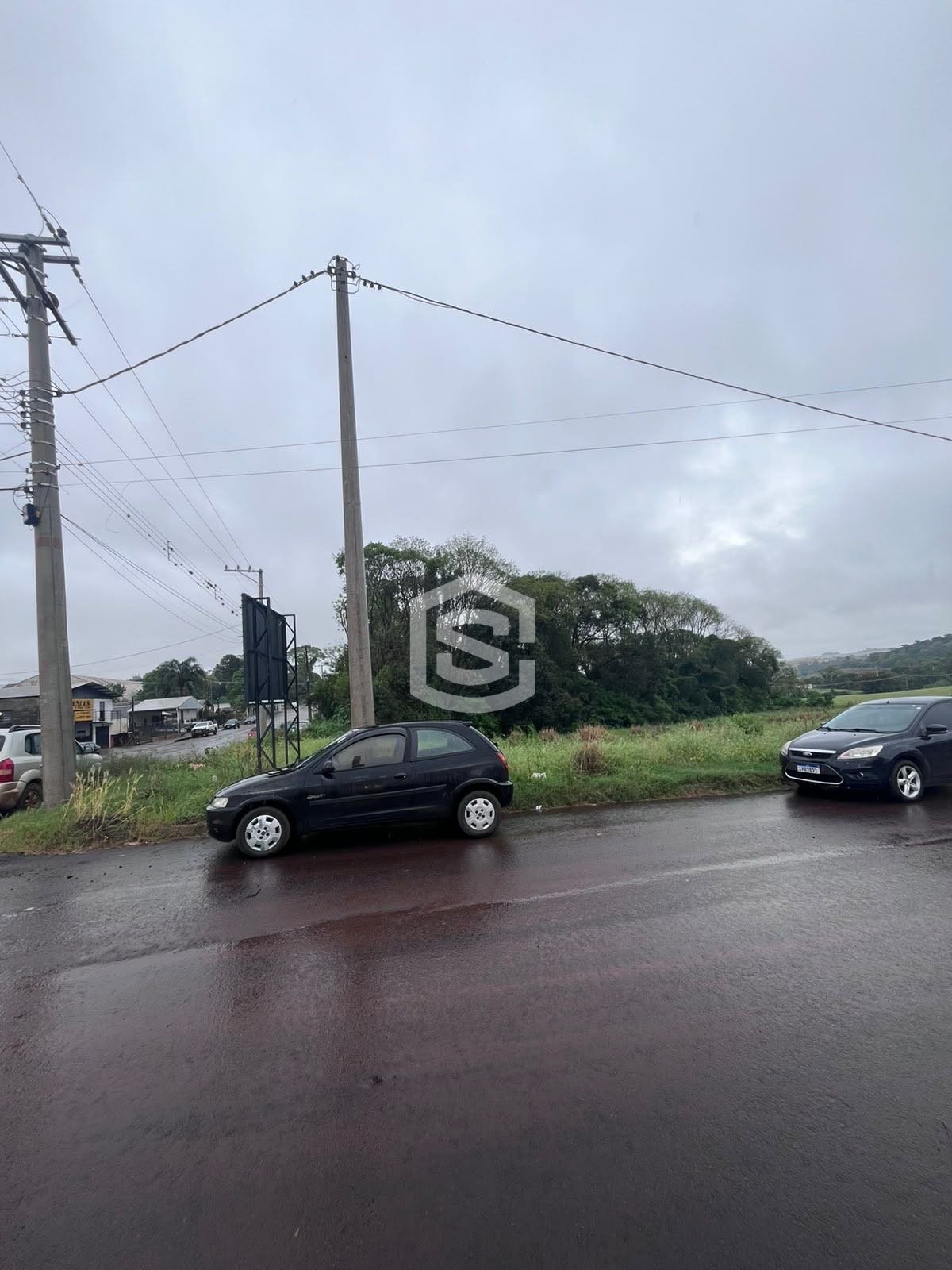 Imagem da propriedade 3