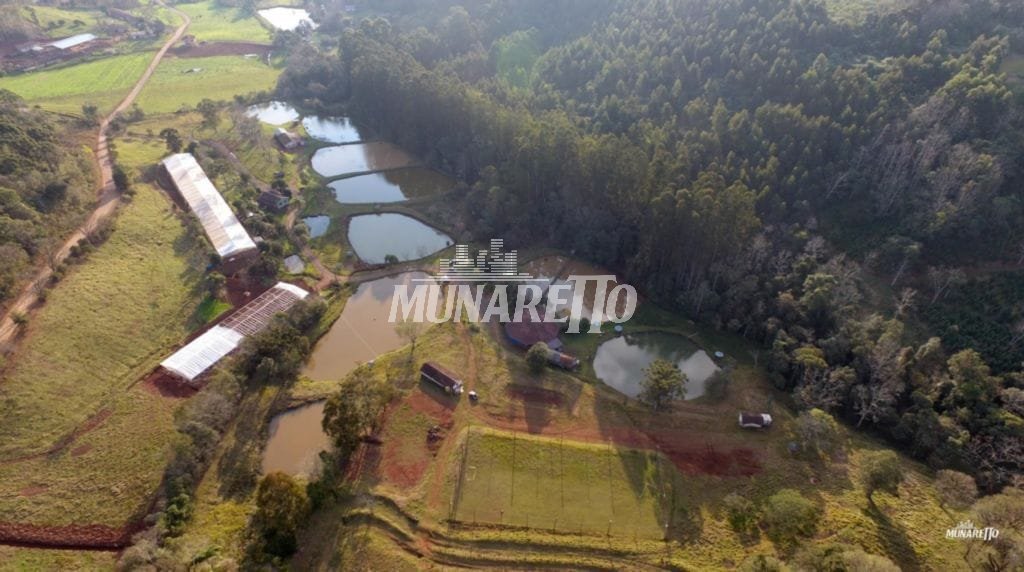 Imagem da propriedade 8