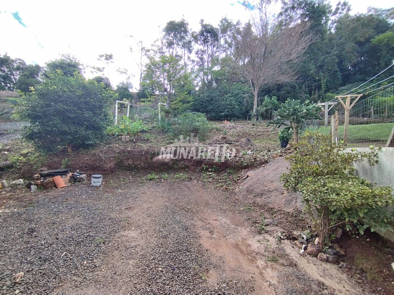 Imagem da propriedade 5