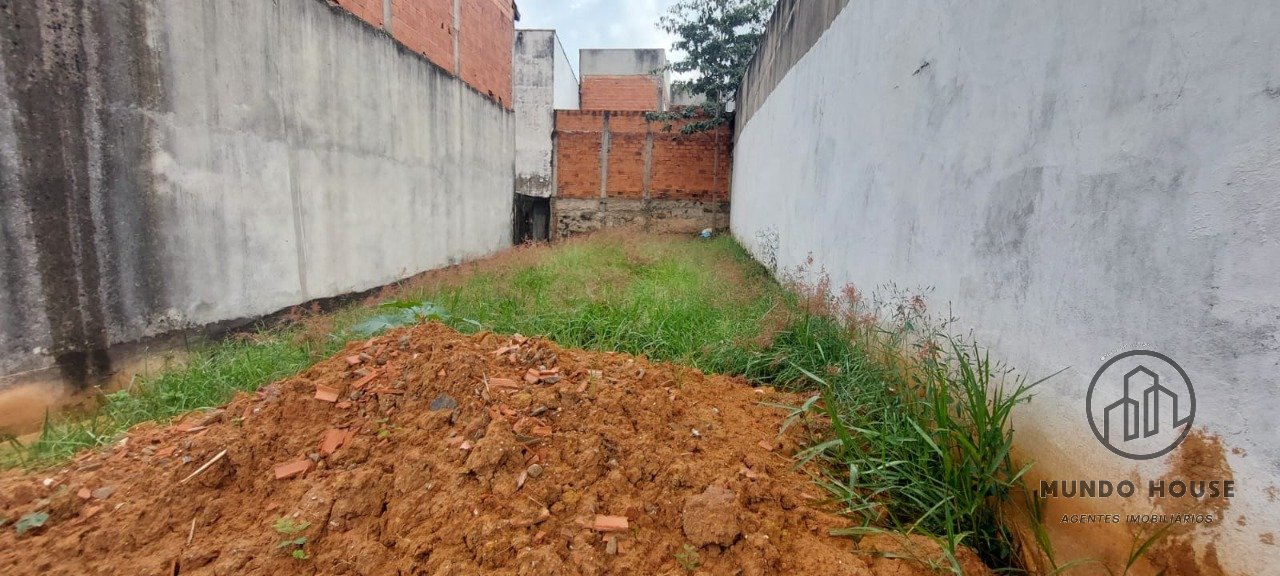 Imagem da propriedade 3