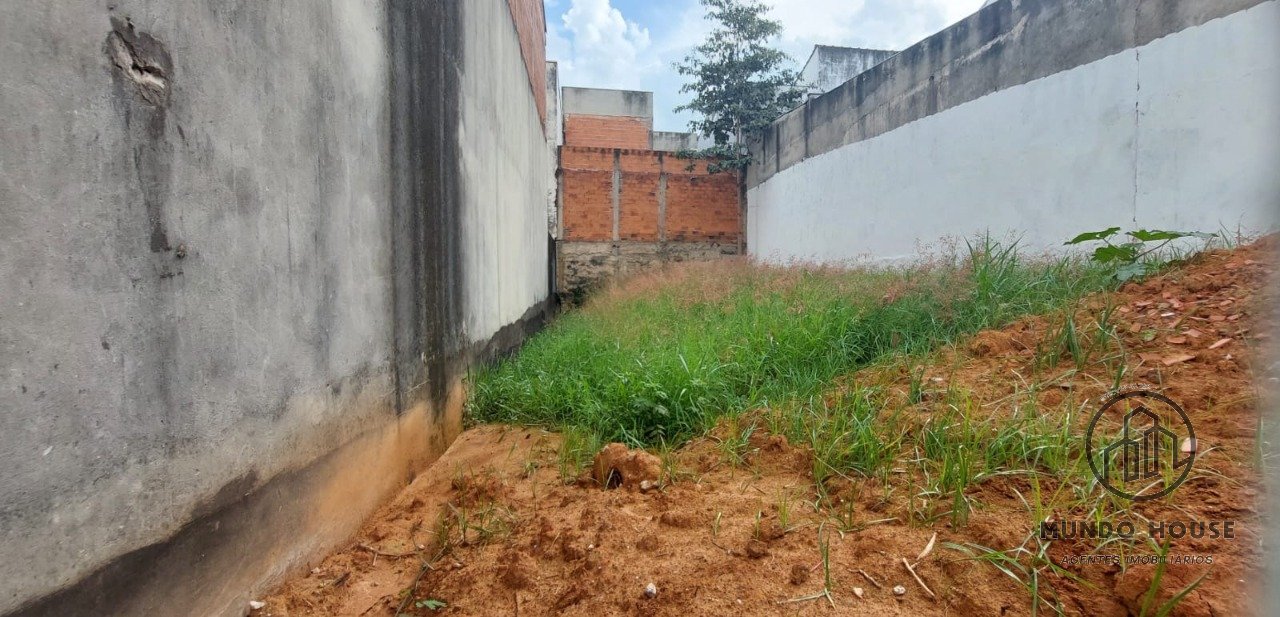 Imagem da propriedade 6