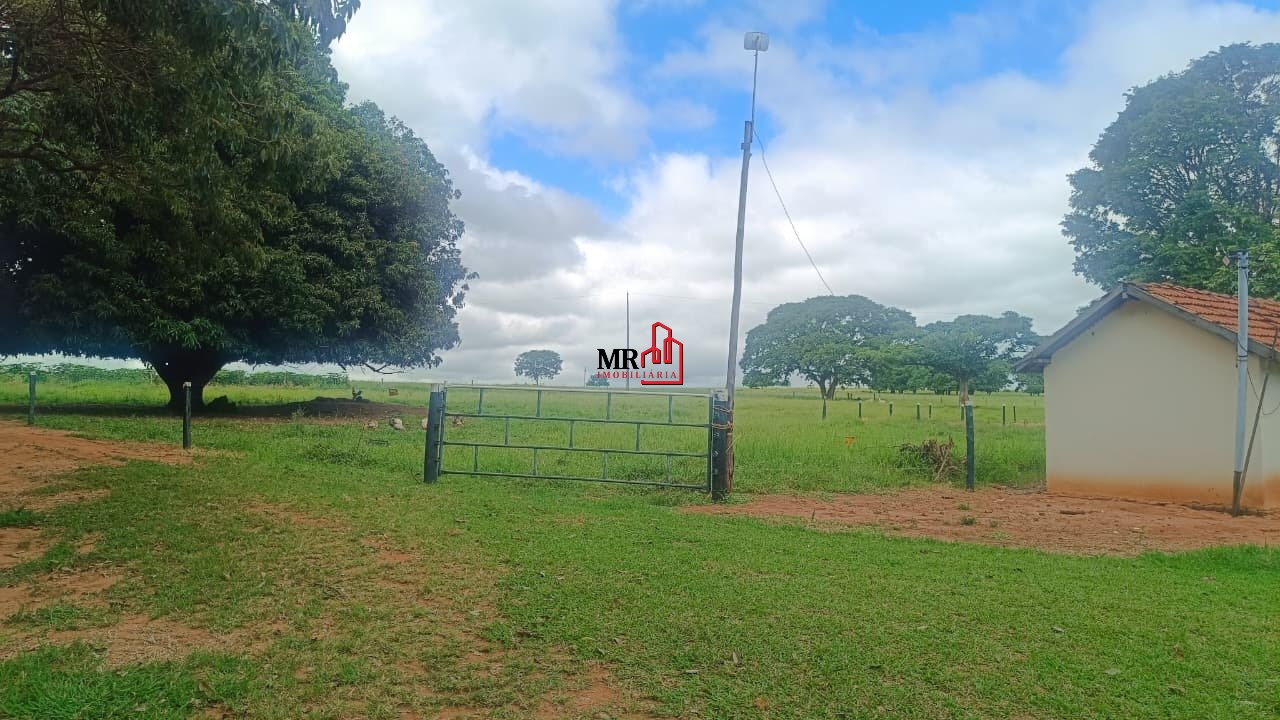 Imagem da propriedade 2
