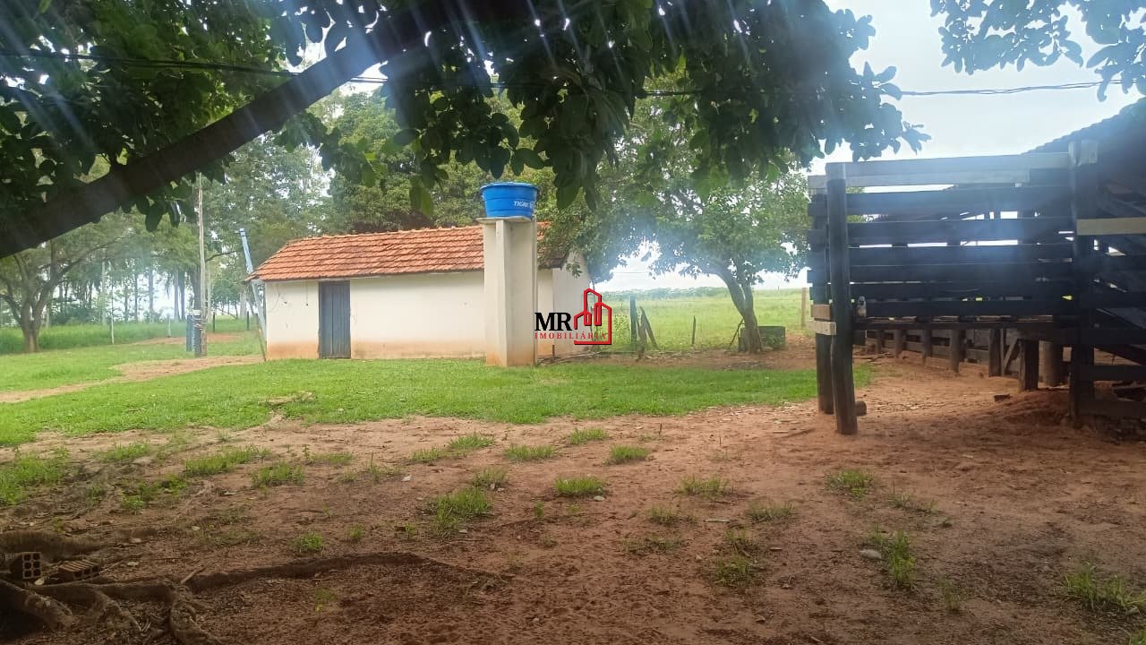 Imagem da propriedade 4