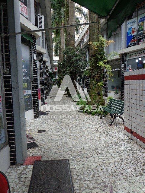 Imagem da propriedade 7