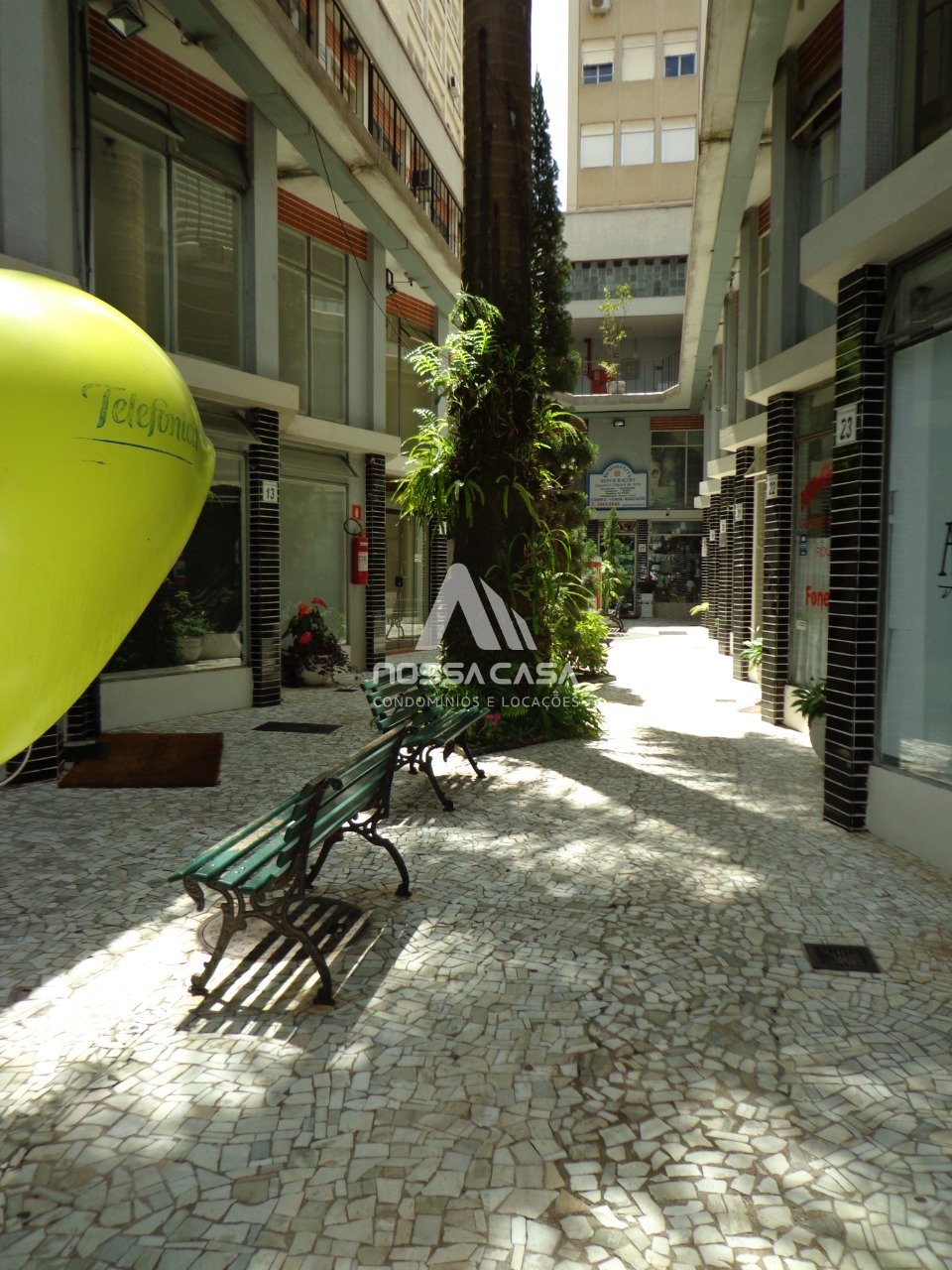 Imagem da propriedade 6