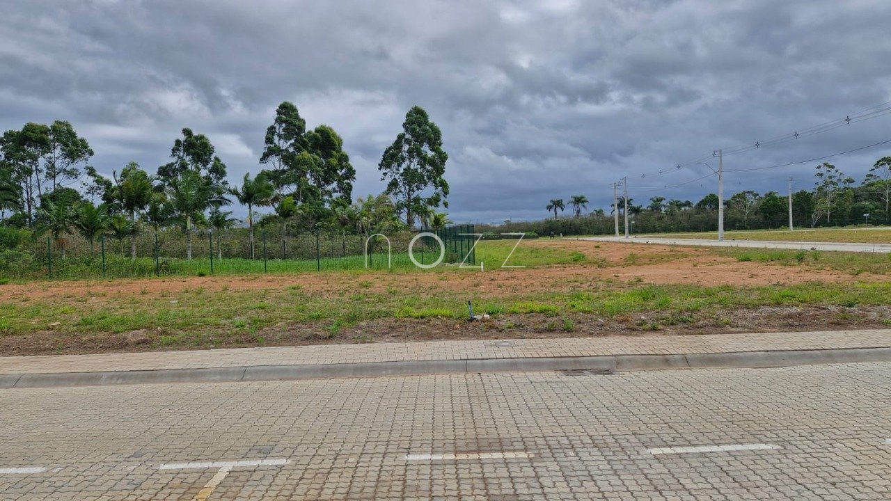 Imagem da propriedade 13