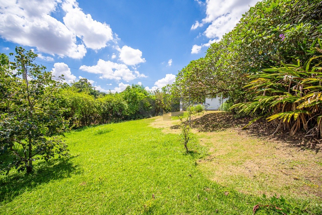 Imagem da propriedade 44