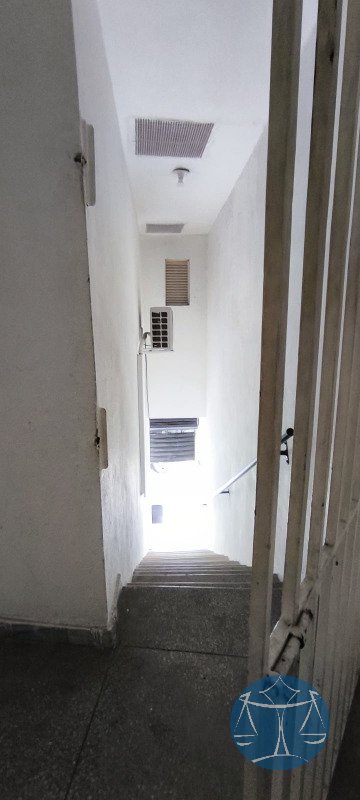 Imagem da propriedade 1254 3