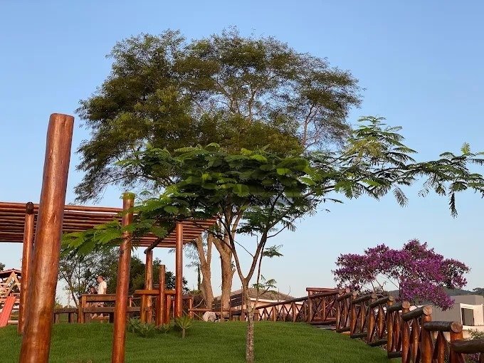 Imagem da propriedade 3