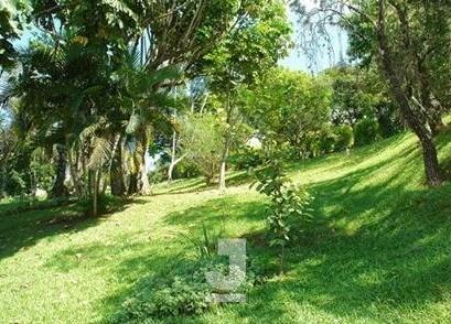 Imagem da propriedade 5