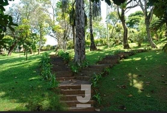 Imagem da propriedade 12
