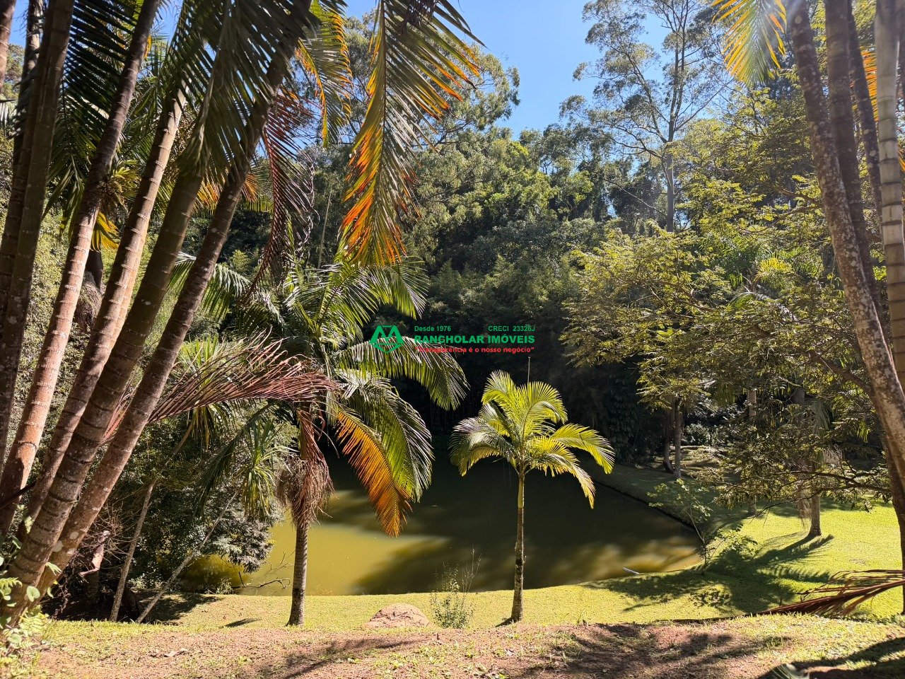 Imagem da propriedade 87