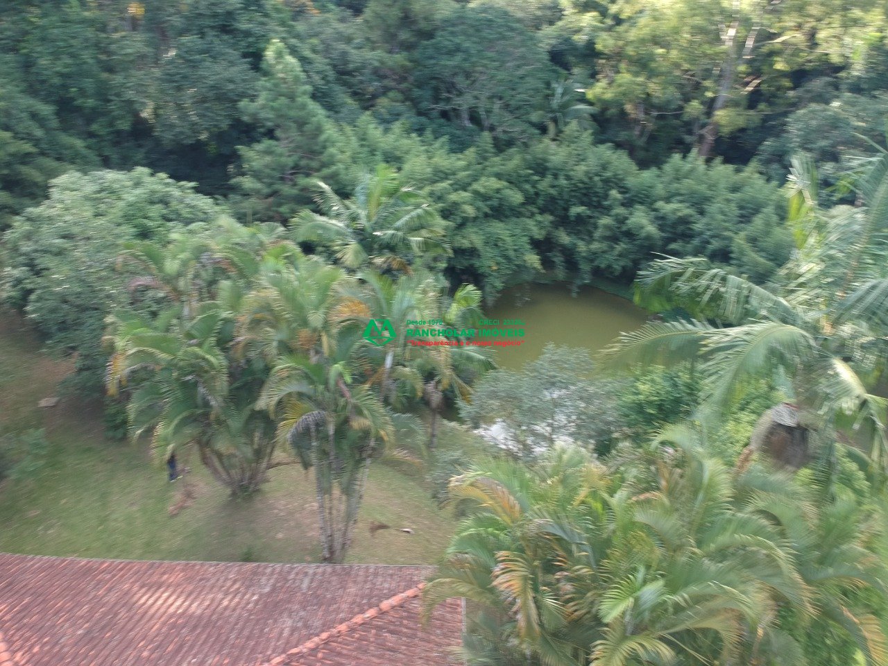 Imagem da propriedade 115