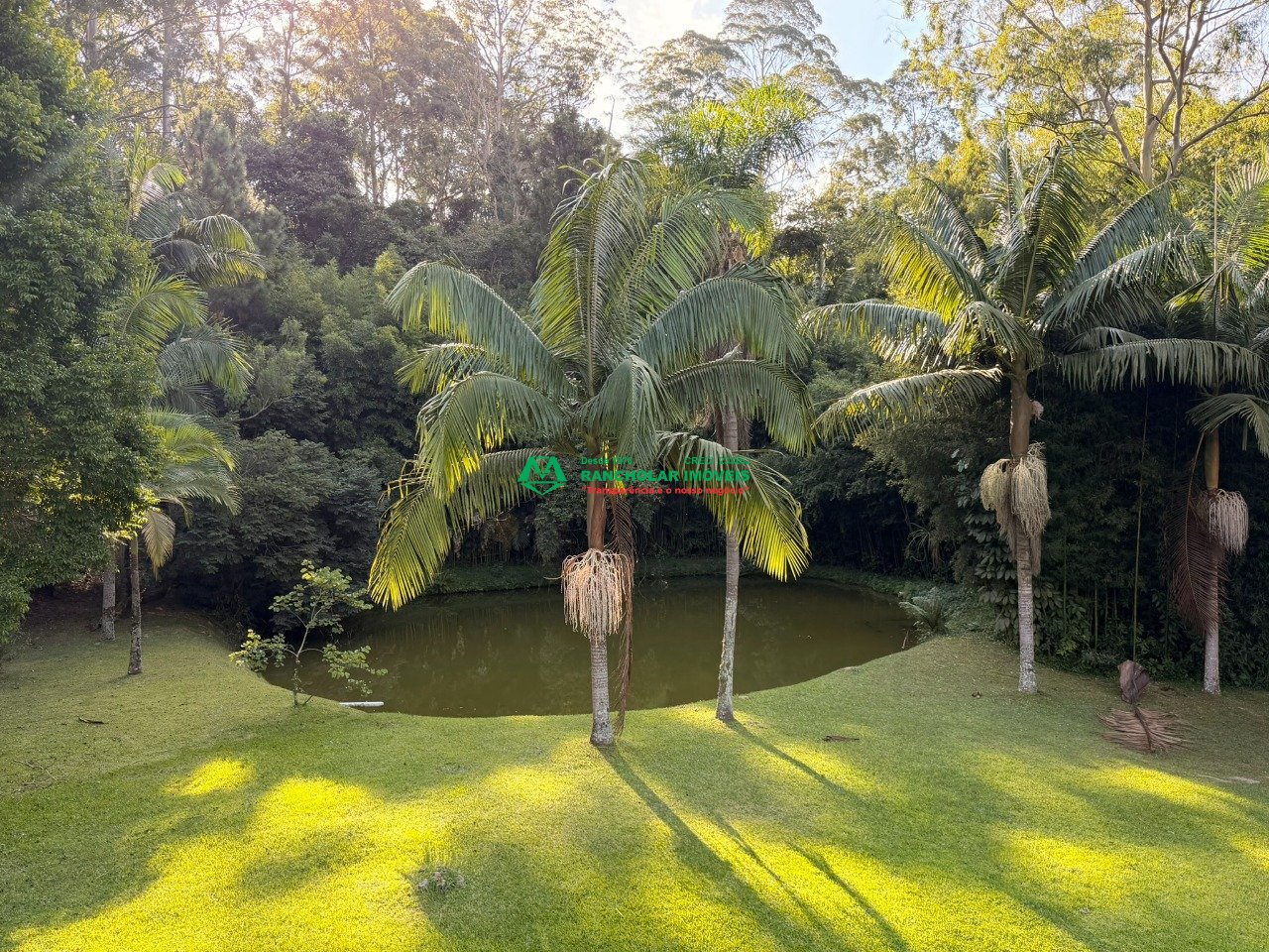 Imagem da propriedade 56
