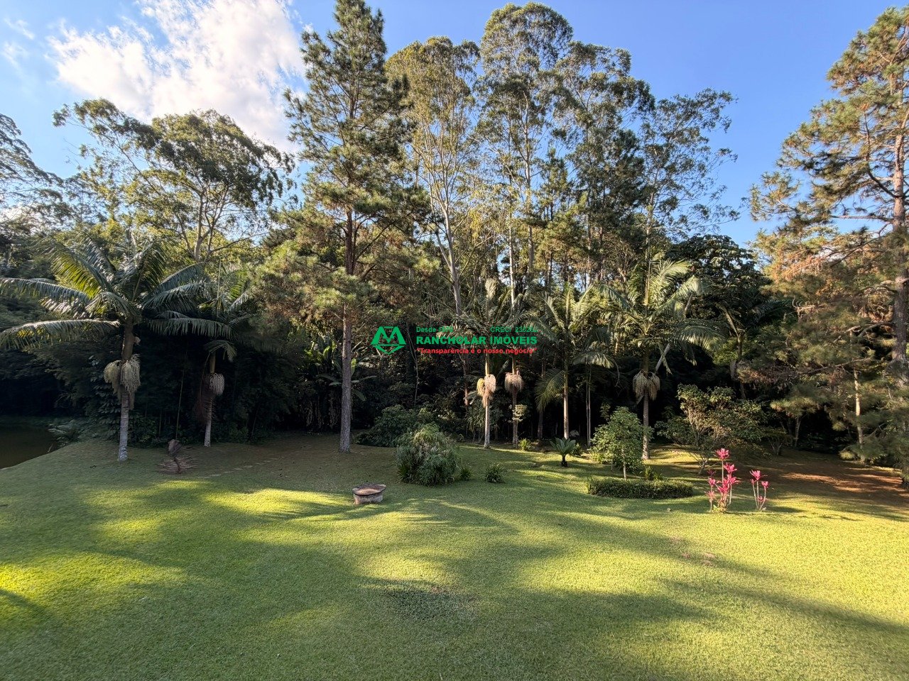 Imagem da propriedade 58