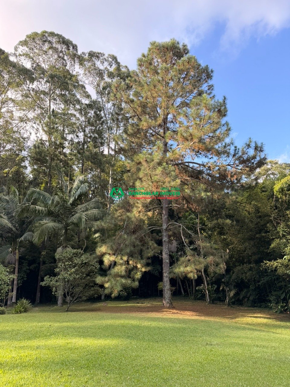 Imagem da propriedade 67