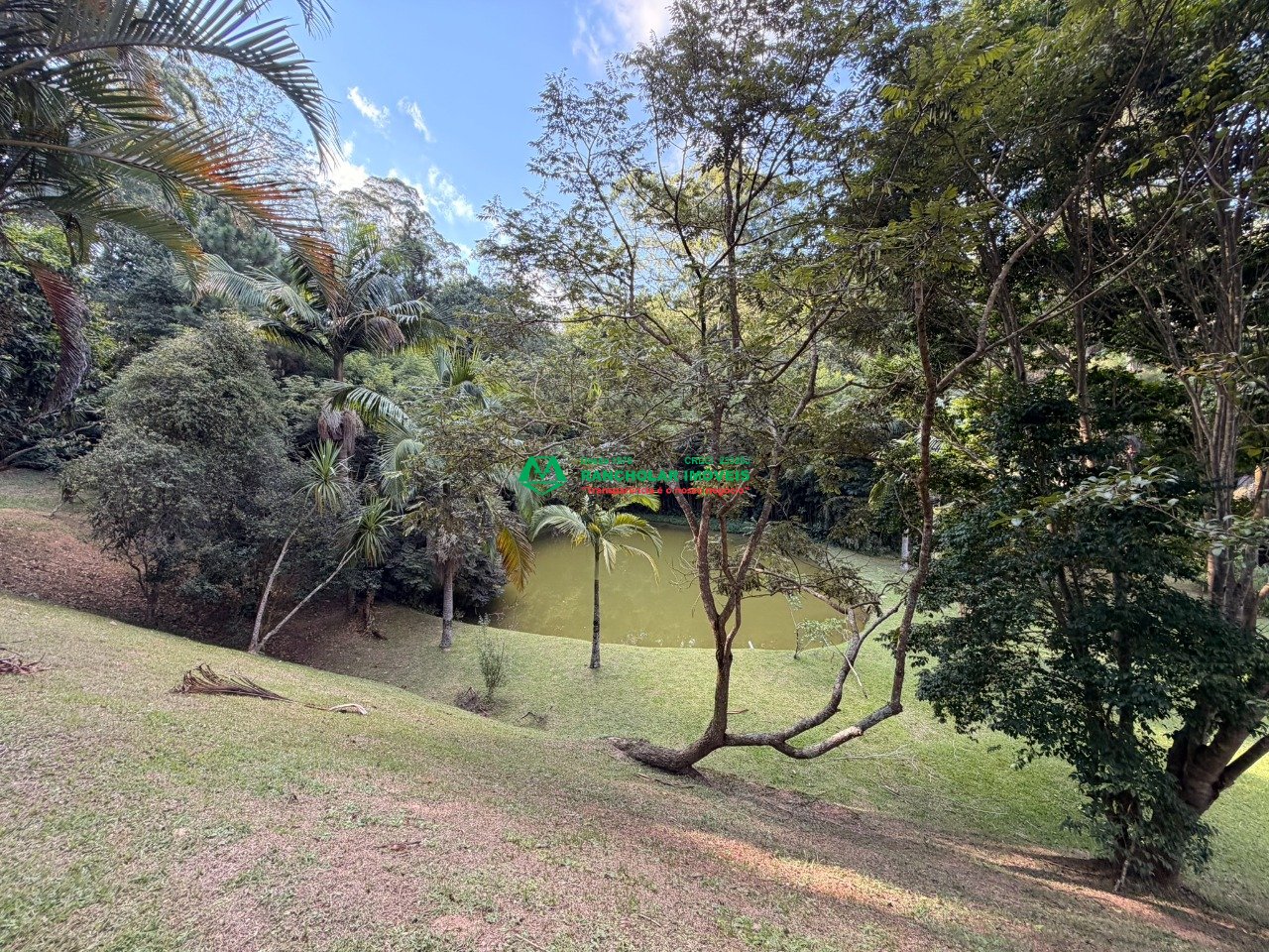 Imagem da propriedade 76