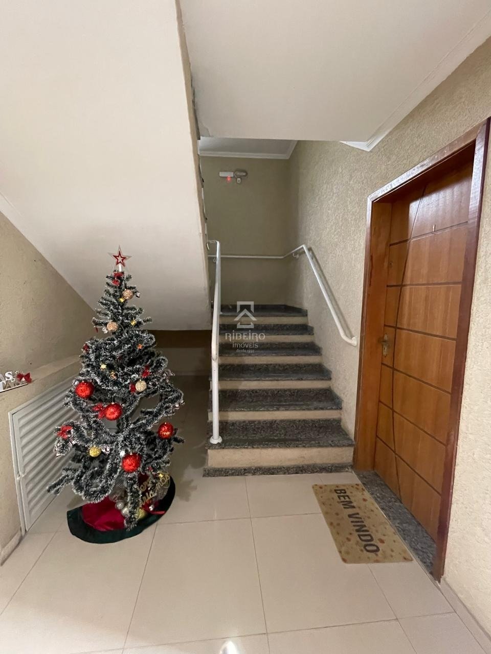 Imagem da propriedade 5