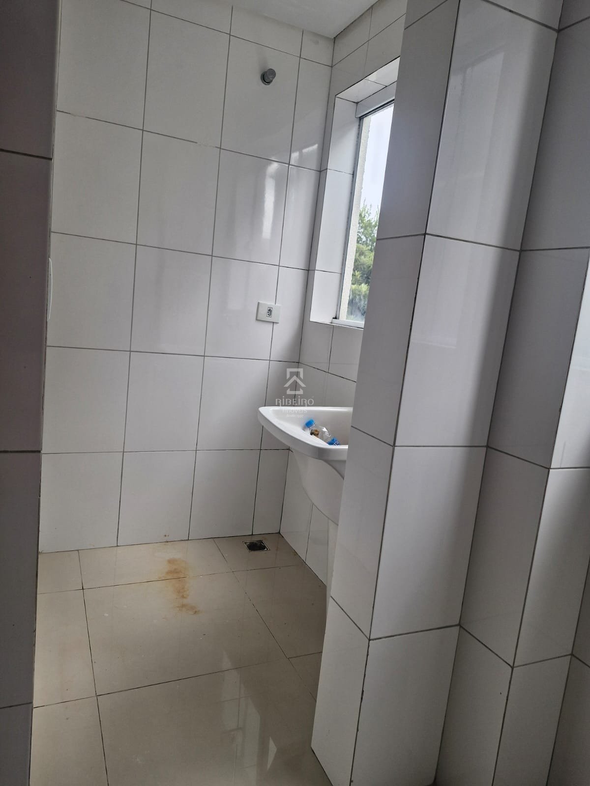 Imagem da propriedade 8