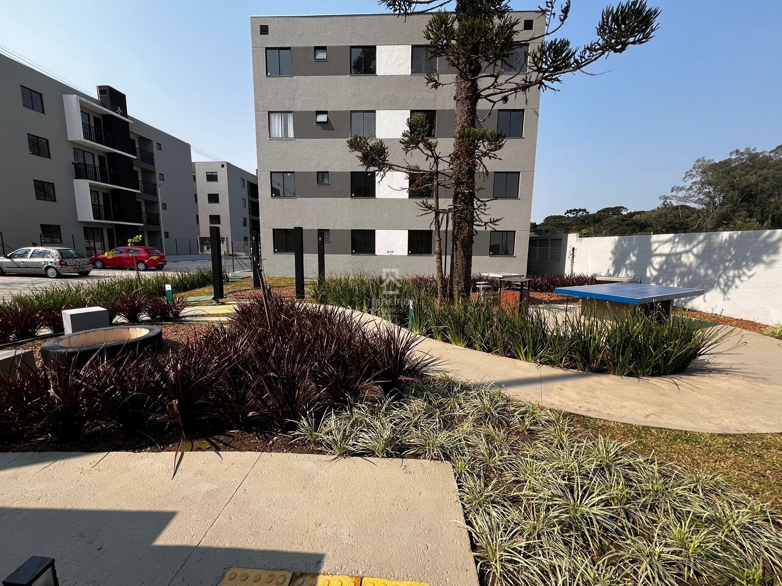 Imagem da propriedade 9