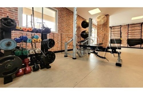 Imagem da propriedade 19