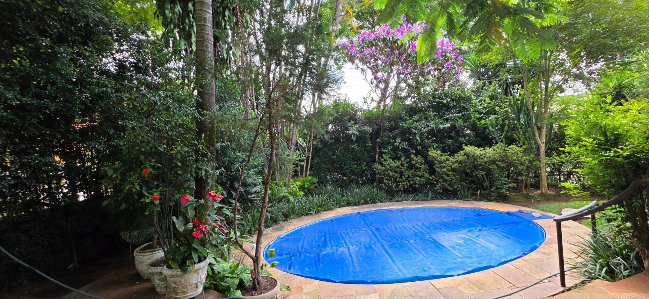 Imagem da propriedade 26