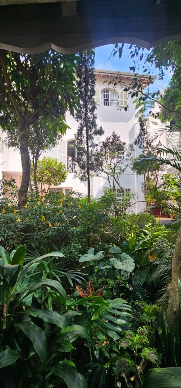 Imagem da propriedade 3