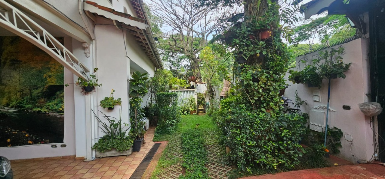 Imagem da propriedade 4