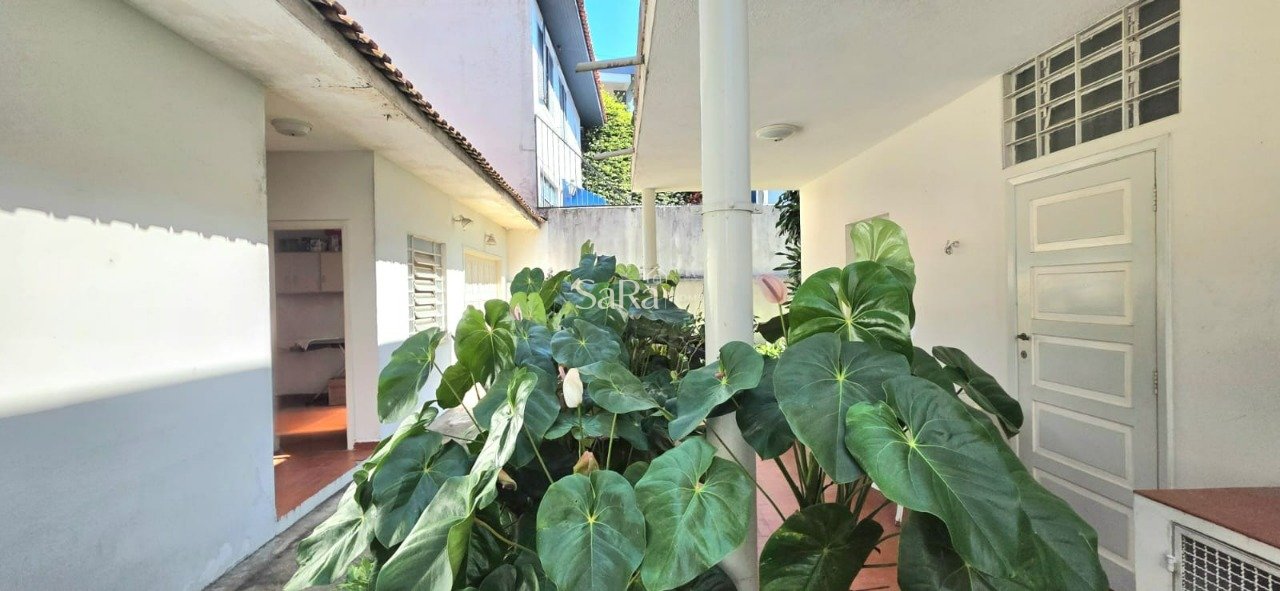 Imagem da propriedade 19