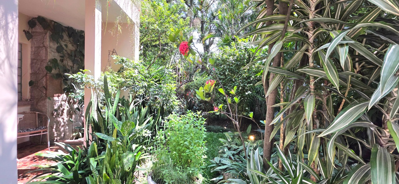 Imagem da propriedade 6