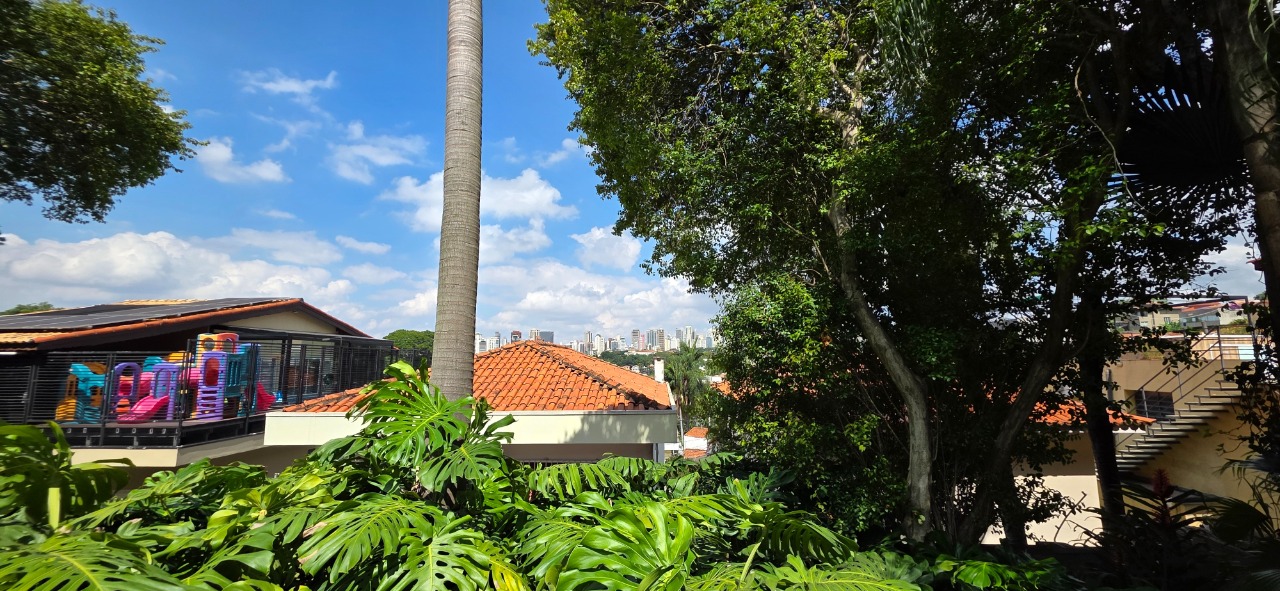 Imagem da propriedade 22