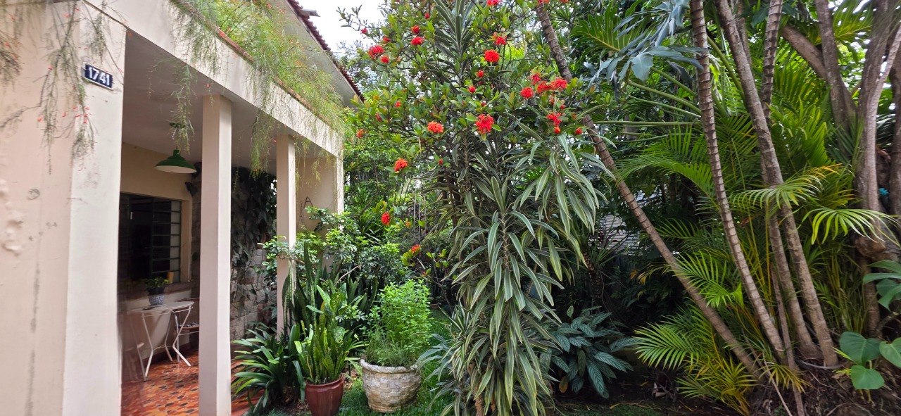 Imagem da propriedade 31