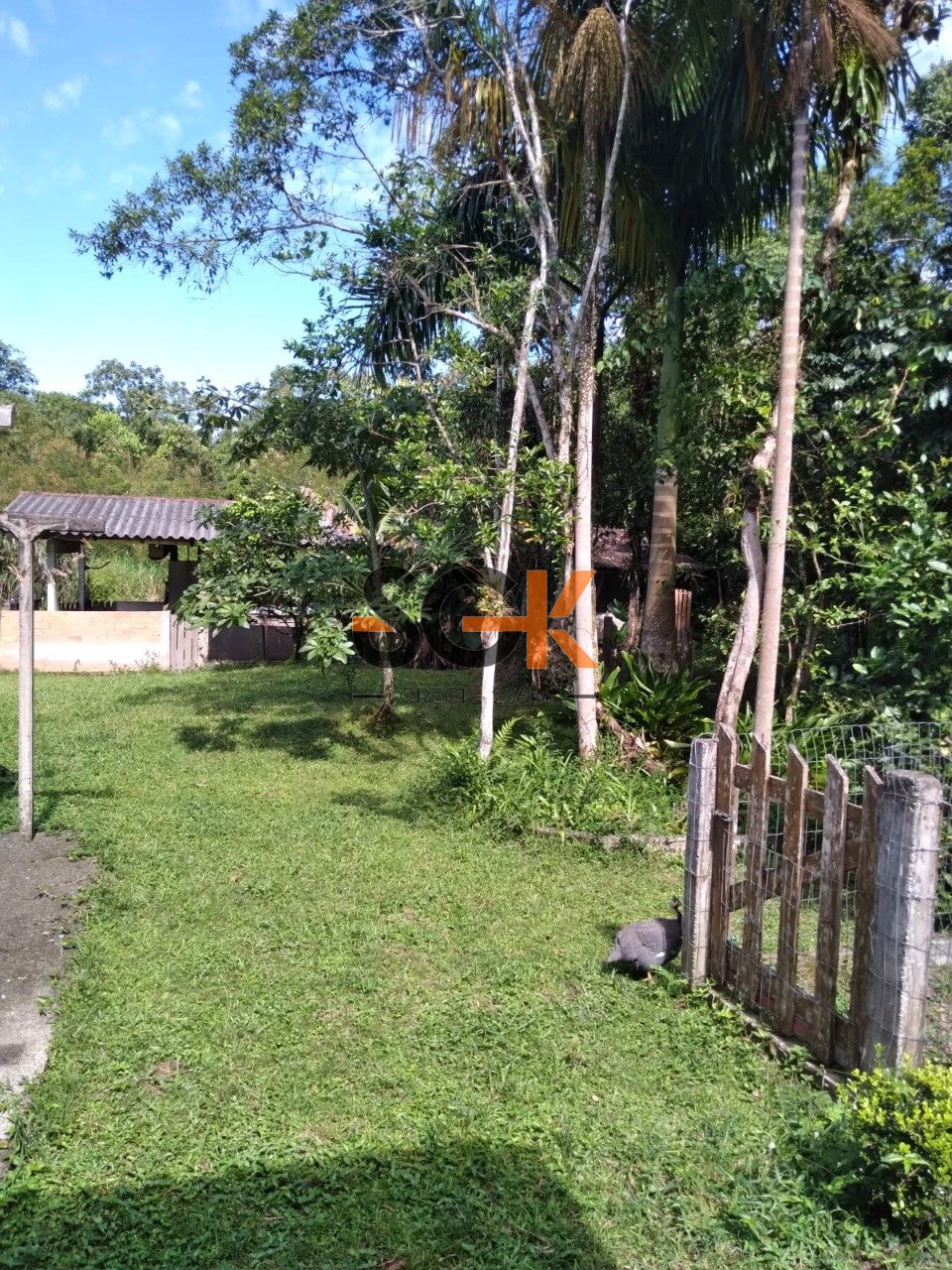 Imagem da propriedade 26