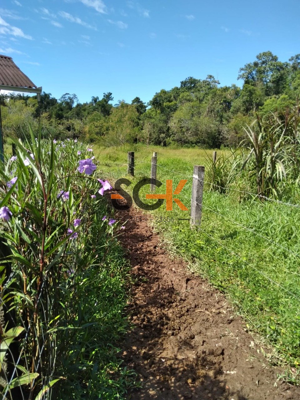 Imagem da propriedade 28