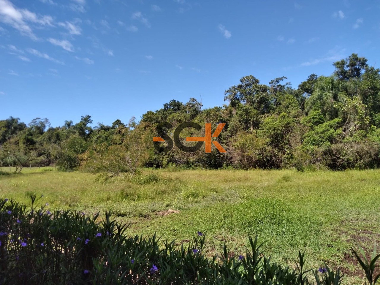 Imagem da propriedade 29