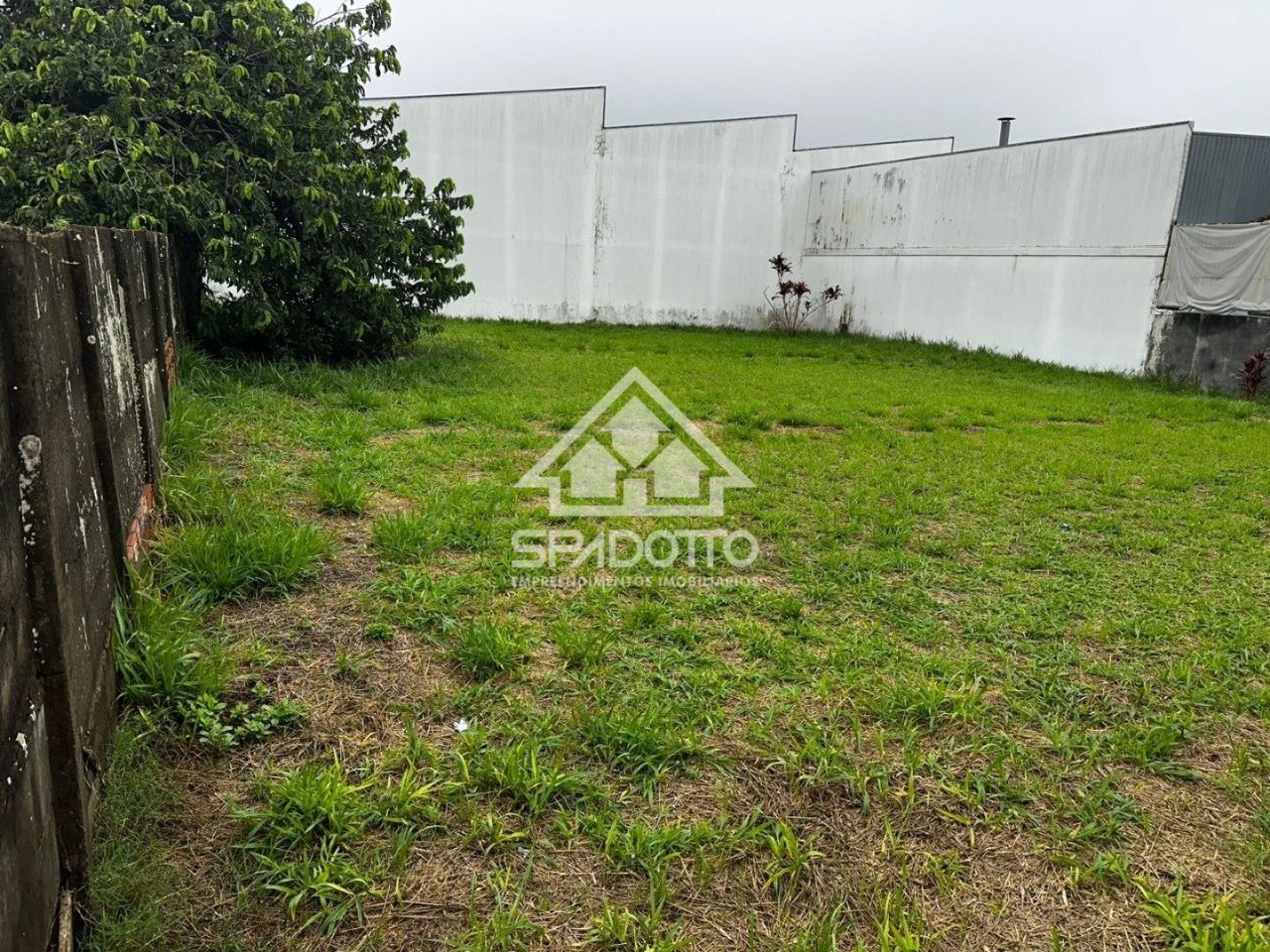 Imagem da propriedade 3