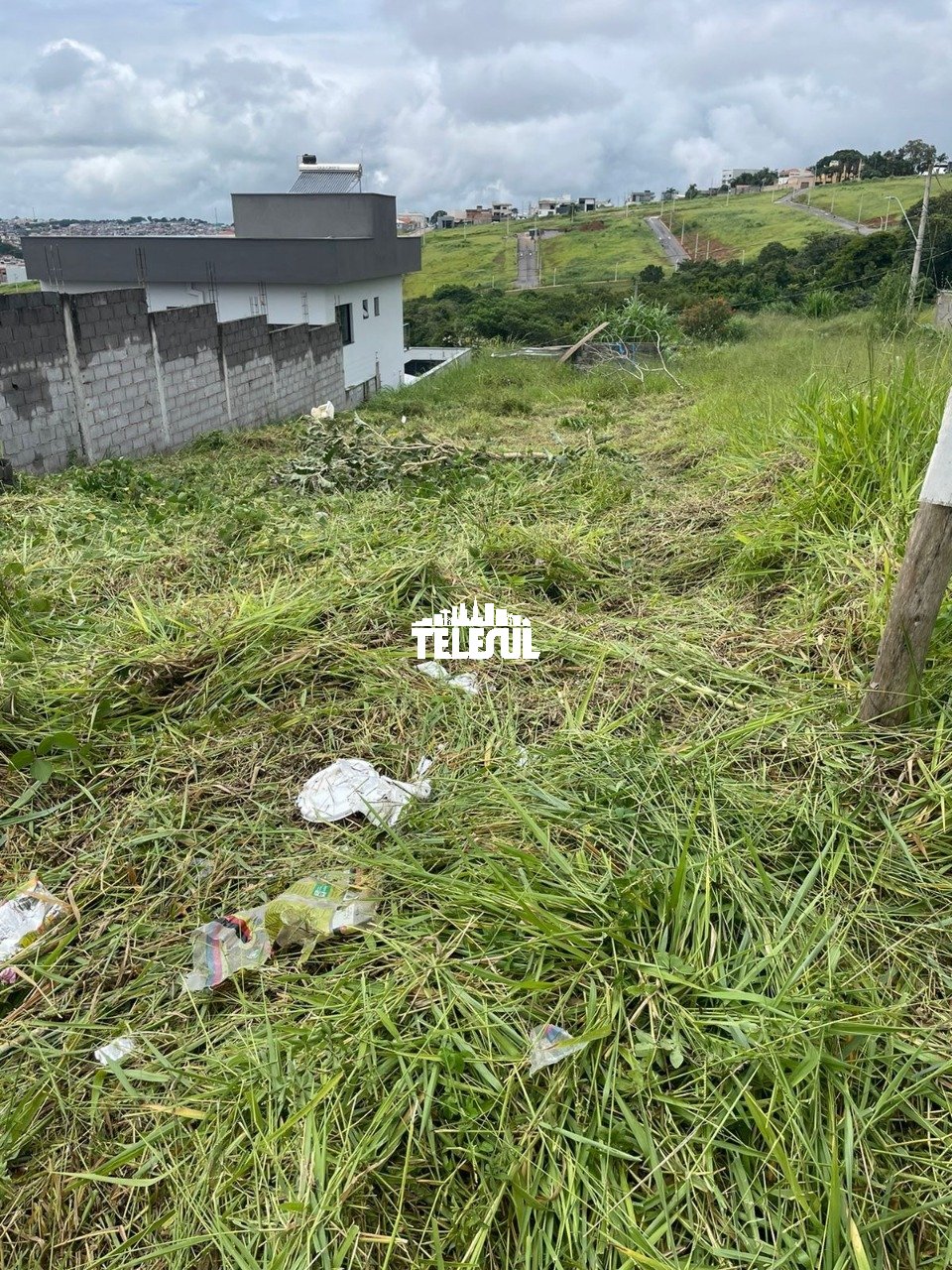 Imagem da propriedade 2