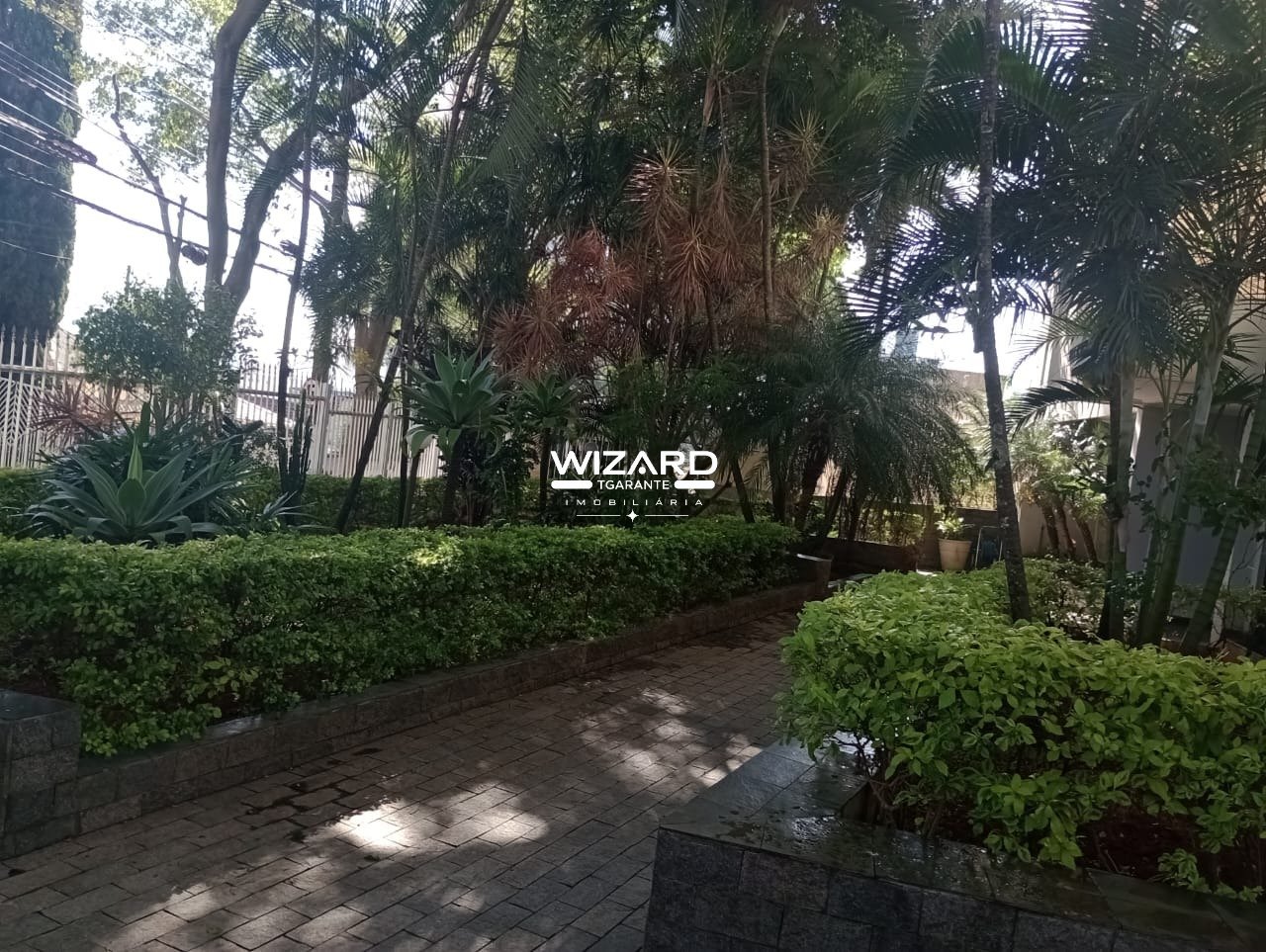 Imagem da propriedade 81918 22