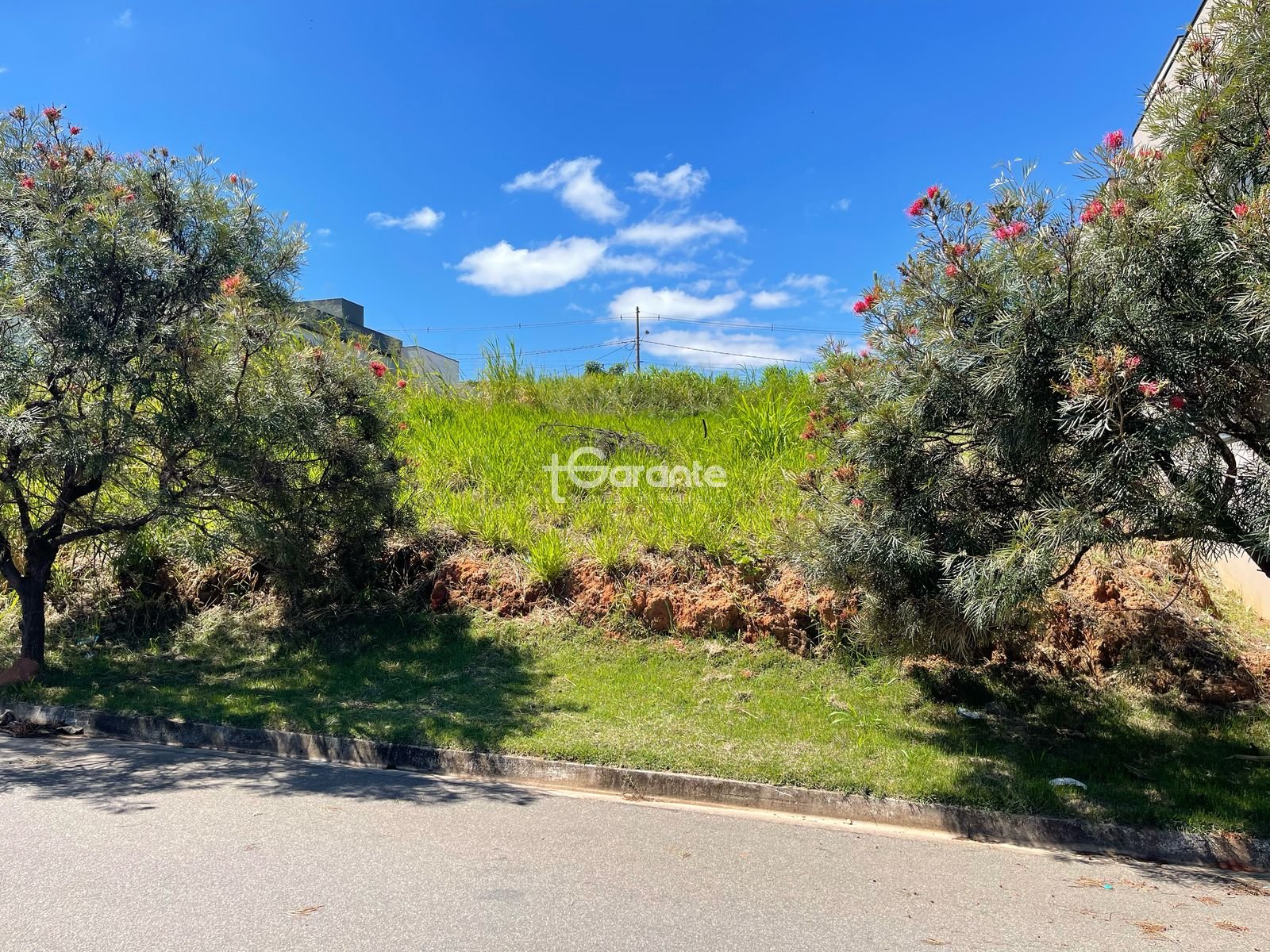 Imagem da propriedade 76066 3