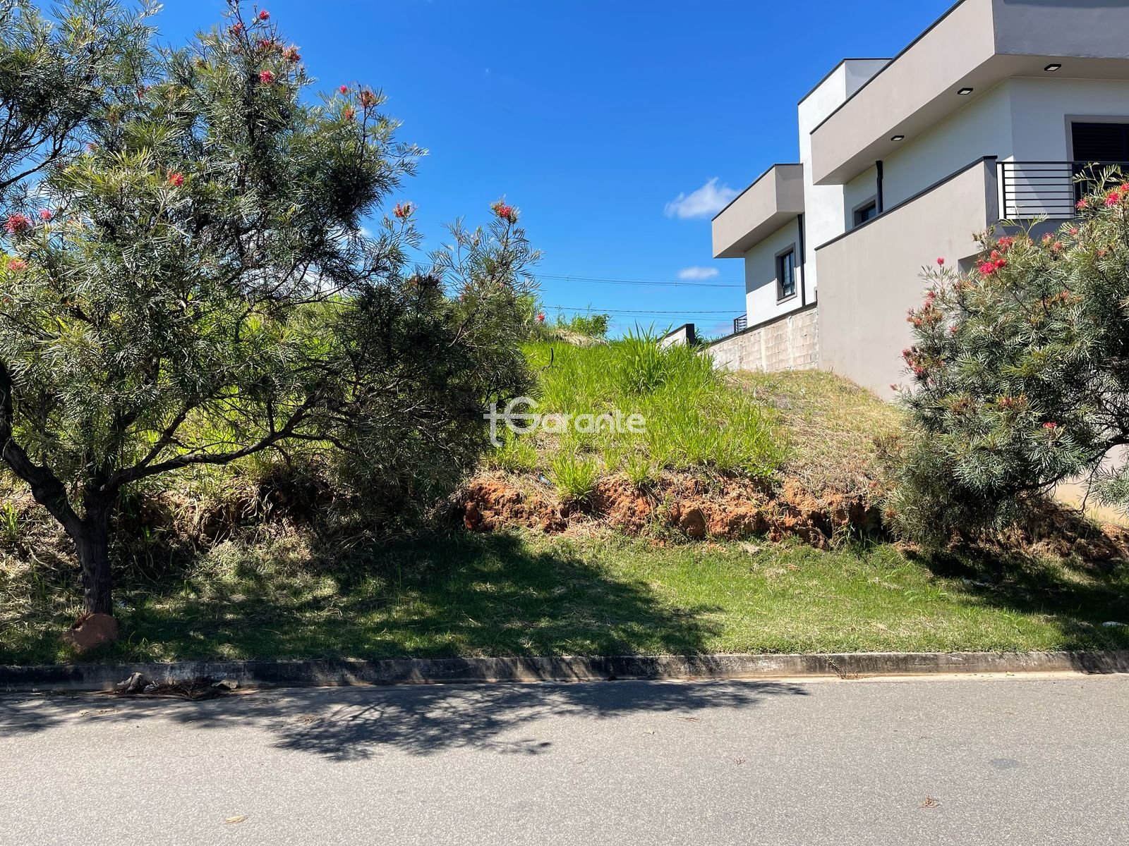 Imagem da propriedade 76066 7