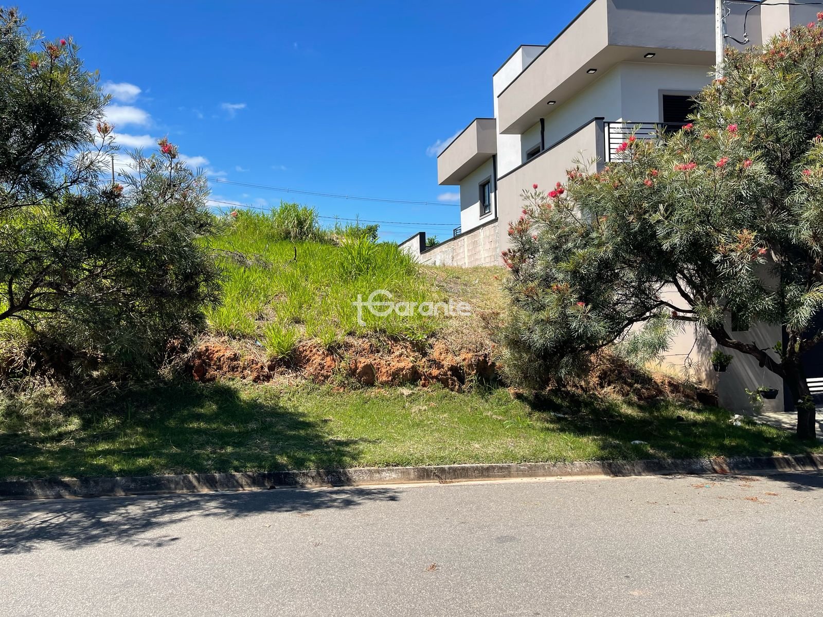 Imagem da propriedade 76066 9