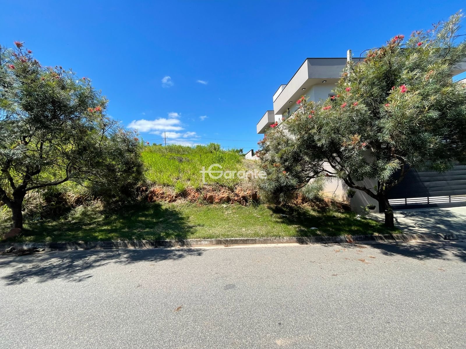 Imagem da propriedade 76066 8