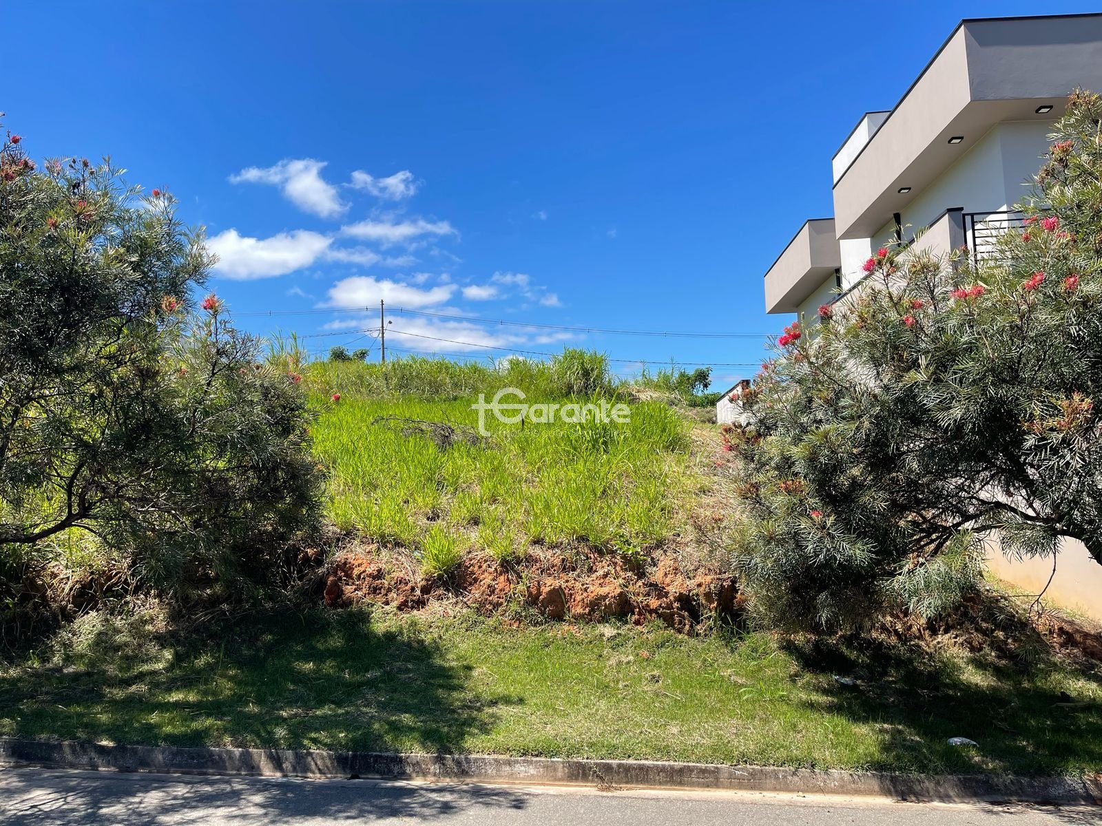 Imagem da propriedade 76066 4