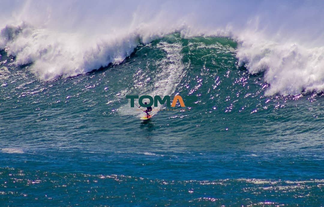 Imagem da propriedade 22