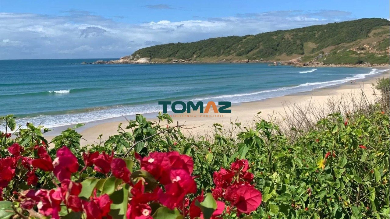 Imagem da propriedade 19